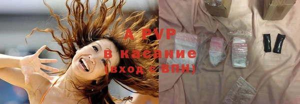 стаф Белокуриха