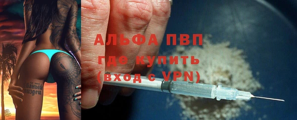 стаф Белокуриха