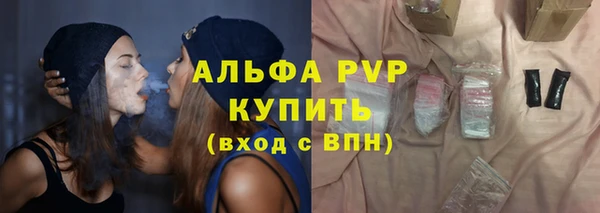 стаф Белокуриха