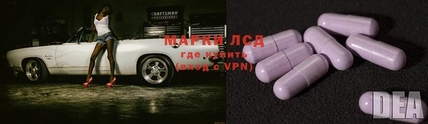 стаф Белокуриха