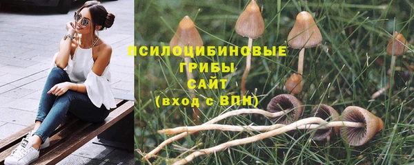 стаф Белокуриха
