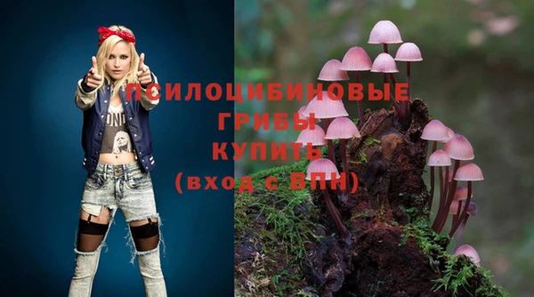 твердый Беломорск