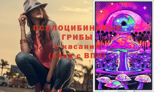 стаф Белокуриха