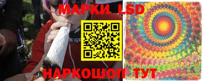 круглые Бийск