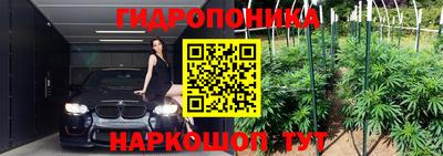 круглые Бийск