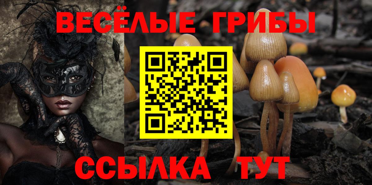 Галлюциногенные грибы MAGIC MUSHROOMS Воскресенск