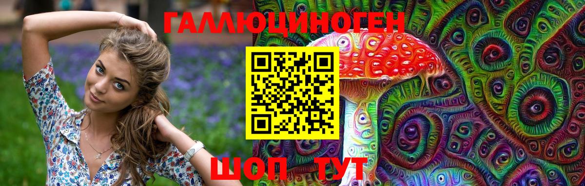 Псилоцибиновые грибы MAGIC MUSHROOMS  Воскресенск  где продают   Псилоцибиновые грибы GOLDEN TEACHER 